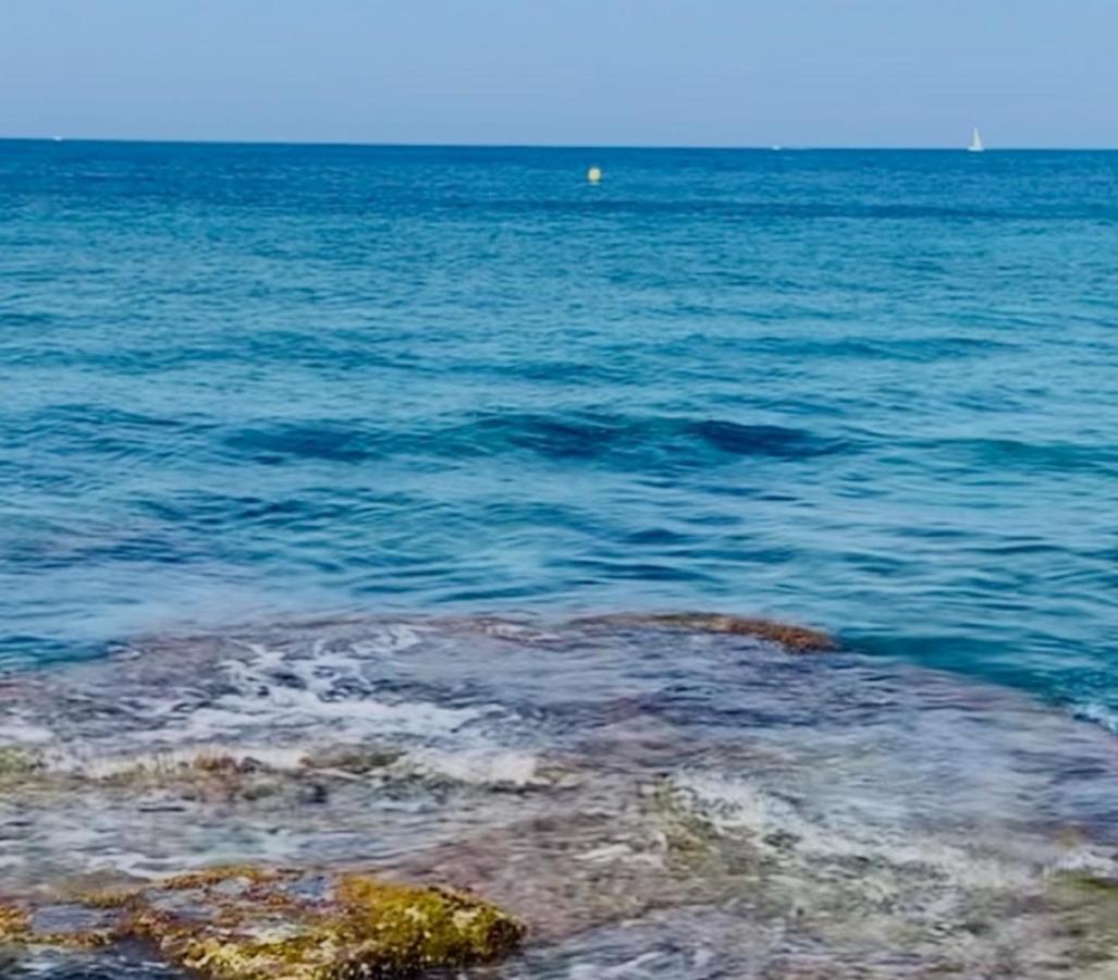 Mimar Jávea מראה חיצוני תמונה